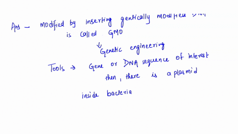 genetic-engineering-is-the-process-of-using-recombinant-dna-technology-to-alter-the-genetic-makeup-of-an-organism-adiscuss-in-detail-the-characteristics-of-plasmid-host-cells-and-enzymes-use-13764
