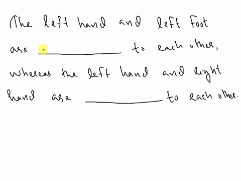 the-left-hand-and-left-foot-are-_____-to-each-other-whereas-the-left-hand-and-right-hand-are-_____-to-each-other-61625