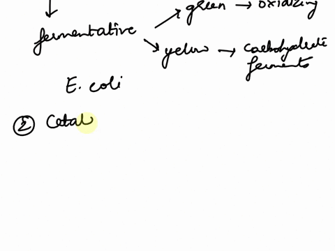 1after-doing-the-of-test-with-your-test-organism-the-results-showed-a-green-color-for-the-tube-with-mineral-oil-and-a-yellow-color-for-the-tube-without-oilawhat-conclusions-can-you-make-abou-51158