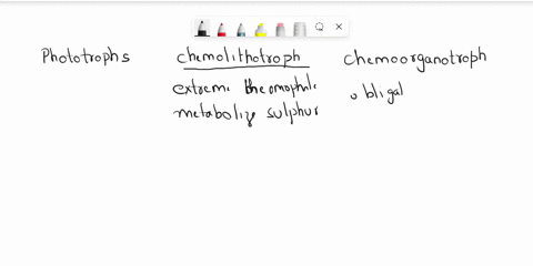 question-10-of-14-classify-each-prokaryote-example-as-a-phototroph-chemoorganotroph-or-chemolithotroph-phototroph-chemoorganotroph-chemolithotroph-answer-bank-extreme-thermophile-that-metabo-98498