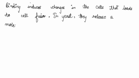 20-what-happens-after-both-types-of-yeast-mating-cells-release-the-mating-factors-and-the-factors-have-bound-to-specific-receptors-on-the-correct-cells-the-cell-membranes-fall-apart-releasin-33417