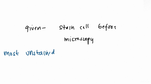 why-do-scientists-stain-cell-and-tissue-samnples-before-microscopy-select-one-most-unslained-cells-lack-pigmentation-staining-enables-scientists-0-sce-and-identify-cellular-structures-0-b-st-36963