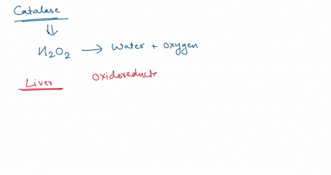 cells-that-have-the-enzyme-catalase-use-it-to-a-convert-hydrogen-peroxide-to-water-and-nad-b-convert-hydrogen-peroxide-to-water-and-oxygen-c-repair-damage-caused-by-reactive-oxygen-species-r-21499