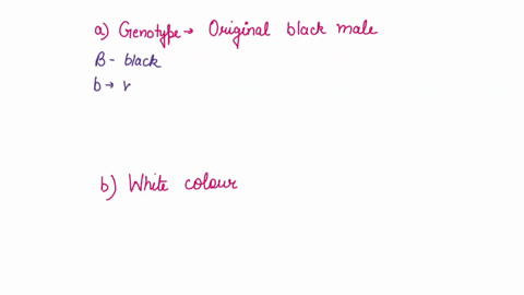2-pts-coat-color-in-guinea-pigs-is-controlled-by-single-pair-of-alleles-when-20-purebred-white-guinea-pigs-are-bred-with-black-male-guinea-pig-of-unknown-ancestry-35-of-the-offspring-are-whi-55503