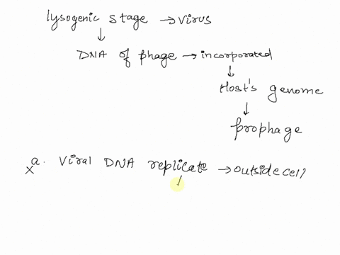when-a-virus-enters-the-lysogenic-stage-a-the-viral-dna-is-replicated-outside-the-host-cell-b-it-e-3-18473
