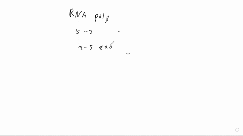 1-dna-polymerase-i-pol-i-ofe-coli-consists-of-three-functional-parts-domains-an-n-terminal-domain-with-5-to-3-exonuclease-activity-required-for-removal-of-the-rna-primer-central-domain-respo-59554