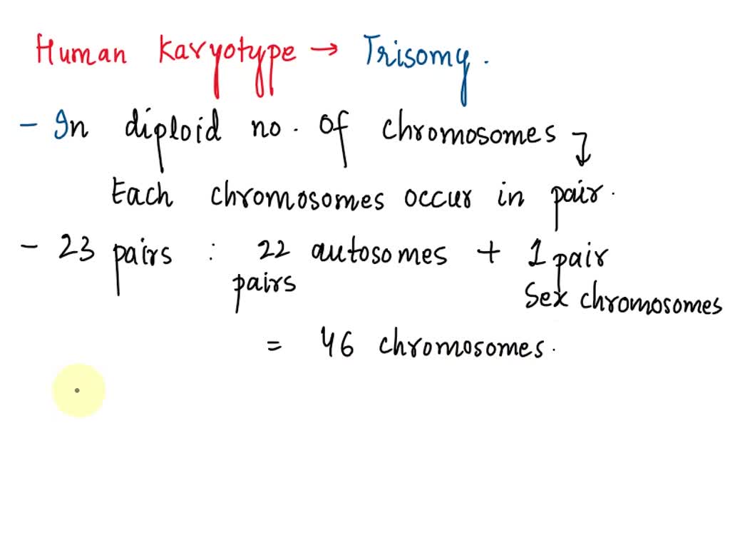 SOLVED: KARYOTYPES According to the karyotype chart below, what species ...