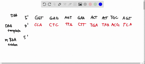 dna-coding-ggt-gag-aat-gaa-actl-att-tgc-agt-dna-template-chtalctt-tga-taa-kaltca-nucleus-mrna-codon-5-ggimvismiv-iaw-icnu-trna-codon-3icca-cvyua-icuulugal-vaa-acaluca-nuc-ear-pore-aa-3-lette-17652