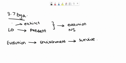 which-evolutionary-process-shown-in-this-picture-guna-lot-dslicide-tesus4ncc-follo-wing-generalions-sunyivor-posticidc-app-ication-cccurs-rosistant-indivduals-sunivo-and-reproduco-more-appli-86948