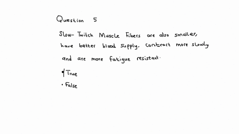 question-5-slow-twitch-muscle-fibers-are-also-smaller-have-better-blood-supply-contract-more-slowly-and-are-more-fatigue-resistant-true-false-question-6-isometric-training-imt-is-an-excellent-way-to-b