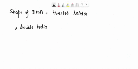 dna-is-sometimes-described-as-a-twisted-ladder-what-is-this-shape-called-90652