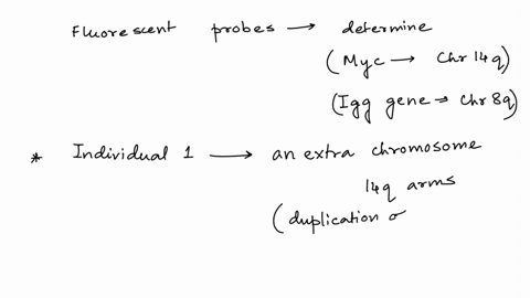 2-imagine-an-in-situ-hybridization-experiment-that-is-done-using-fluorescent-probes-for-two-genes-the-igg-gene-on-chr-8qand-the-myc-gene-on-chr-14q-in-this-experiment-interphase-g1-fetal-cel-60249