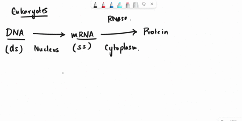 which-of-the-following-are-post-translational-modifications-select-all-that-apply-proteolytic-cleavage-phosphorylation-glycosylation-elongation-35335