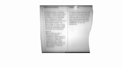 original-source-materlal-student-version-the-selected-memories-nevertheless-both-from-her-childhood-and-from-sallys-do-coalesceor-at-least-indicate-a-very-clear-thematic-focusprimarily-death-44074