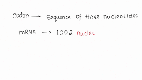 how-many-amino-acids-are-present-in-a-nascent-polypeptide-decoded-from-mrna-with-the-reading-frame-having-1002-nucleotides-09733