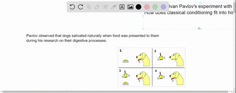 what-does-ivan-pavlovs-experiment-with-his-dog-how-does-classical-conditioning-fit-into-his-research-12652