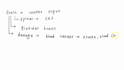 please-give-three-examples-of-how-the-brain-shapes-our-behavior-consider-how-brain-damage-from-a-stroke-or-injury-might-affect-a-person-include-the-role-of-three-neurotransmitters-and-their-56958