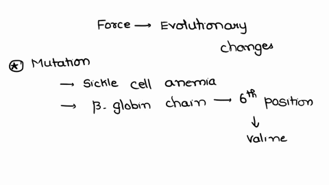 delineate-the-four-major-forcesof-evolutionary-change-give-specific-examples-of-eachand-discuss-how-these-forces-work-in-conjunction-with-one-another-41612