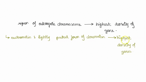 what-region-of-a-eukaryotic-chromosome-contains-the-highest-density-of-genes-2-euchromatin-centromere-condensed-heterochromatin_-d-telomere-3-which-type-of-pseudogenes-is-usually-located-adj-82897