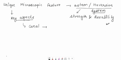 9-what-is-at-least-one-unique-microscopic-feature-of-compact-bone-describe-it-the-unique-microscopic-feature-of-compact-bone-is-steon-or-haversian-system-cross-sectional-view-of-haversian-ca-37276