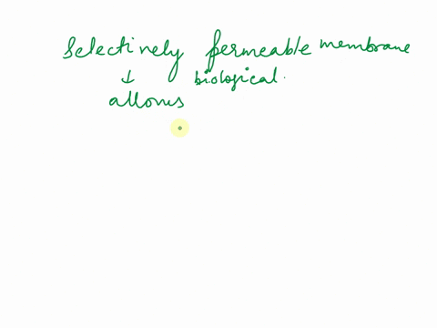 what-is-a-selectively-permeable-membrane-47998