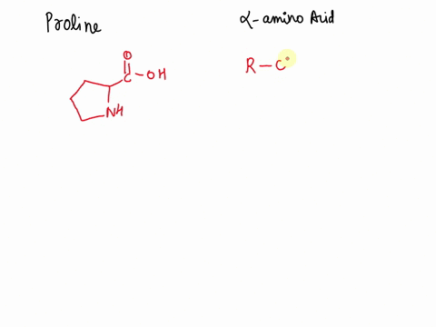 the-structure-of-the-amino-acid-proline-cannot-be-placed-into-the-class-of-a-amino-acids-because-of-its-lack-of-a-polar-side-chain-b-its-lack-of-a-non-polar-side-chain-its-lack-of-a-primary-19017