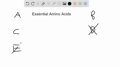 in-animals-the-distinction-between-essential-and-non-essential-amino-acids-generally-has-to-do-with-a-the-oxidation-state-of-thier-anomeric-carbons-b-their-glycogen-storage-potential-c-the-n-70461