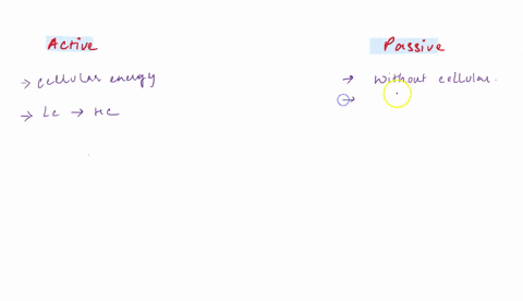 explain-the-difference-between-active-and-passive-transport-within-the-cell-42582