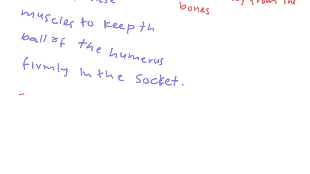 SOLVED What are some occupational therapy goals for patients