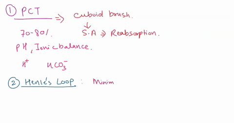 question-15-2-pts-water-reabsorption-occurs-in-all-parts-of-the-nephron-except-ascending-limb-of-the-loop-of-henle-descending-limb-of-the-loop-of-henle-collecting-duct-proximal-tubule-distal-79074