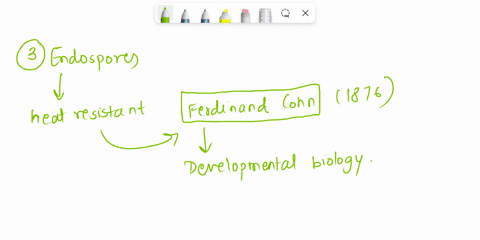 12-the-use-0f-bacteria-model-0-kanisms-supported-onall-due-folloxng-except-ithey-have-been-widely-stujied-blthty-xmilar-ological-processes-other-hanins-cthey-are-cheap-and-easy-maintalr-utla-28572