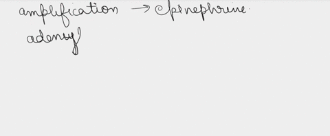 which-of-the-following-steps-amplify-the-epinephrine-signal-response-in-cells-receptor-activation-of-52951