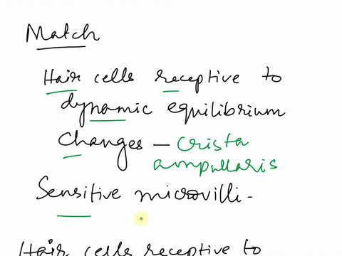 match-the-following-match-the-words-in-the-left-column-to-the-appropriate-blanks-in-the-sentences-on-the-rightmake-certain-each-sentence-is-complete-before-submitting-your-answer-reset-help-41535
