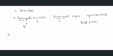 3-which-of-the-following-is-the-probable-sequence-in-which-organisms-evolved-a-prokaryotic-bacteria-eukaryotic-algae-7-cyanobacteria-7-land-plants-b-eukaryotic-bacteria-cyanobacteria-eukaryo-09286