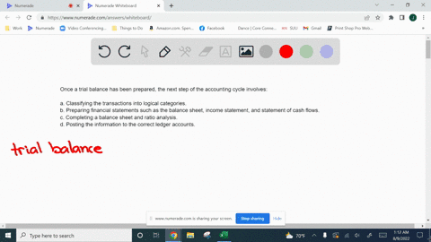 once-a-trial-balance-has-been-prepared-the-next-step-of-the-accounting-cycle-involves-a-classifying-the-transactions-into-logical-categories-b-preparing-financial-statements-such-as-the-bala-10843