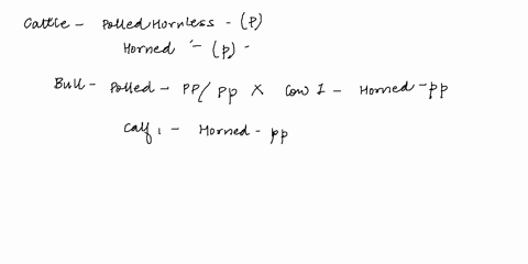 dalrnektmo-in-cattle-polled-or-homless-tait-p-is-dominant-over-horned-traitlpi-polled-bull-mated-with-three-different-cowsand-the-following-calves-were-bom-in-the-spring-cow-ptcnotype-f1-gen-22434