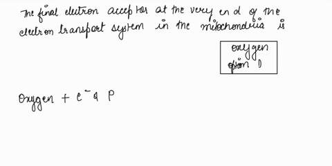 17-at-the-very-end-of-the-electron-transport-chain-in-the-mitochondria-final-electron-acceptor-carbon-dioxide-adp-atp-synthase-d-oxygen-nad-is-required-t0-accept-elecueu-18_-select-the-corre-45934