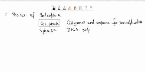 describe-what-takes-place-in-the-three-phases-of-interphase-what-are-cell-cycle-checkpoints-where-are-they-found-in-the-cell-cycle-what-do-they-check-for-what-feature-is-important-for-a-cycl-83892