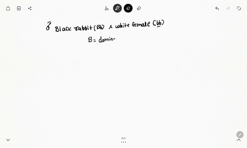 what-are-the-genotypes-and-phenotypes-of-offspring-when-a-black-rabbit-male-bb-is-crossed-with-a-white-female-bb-bblack-bwhite-23842