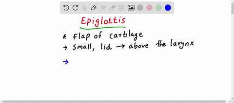 if-the-digestive-and-respiratory-tracts-were-completely-separate-in-humans-there-would-be-no-need-3-21318