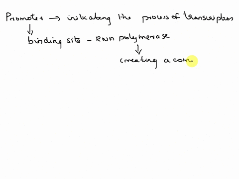transcription-begins-at-a-promoter-what-is-a-promoter-a-a-site-in-dna-that-recruits-the-rna-polymeraseb-part-of-the-rna-molecule-itself-c-a-site-found-on-the-rna-polymerase-d-the-same-as-a-s-22323