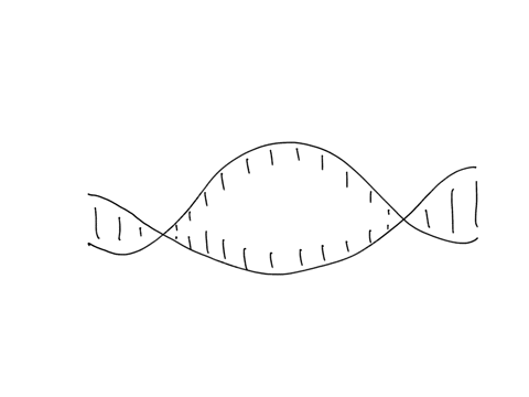 during-your-biol-110-lab-you-are-setting-up-an-experiment-to-carry-out-dna-replication-you-isolate-and-purify-the-necessary-molecules-however-when-you-add-dna-to-your-mixture-replication-was-09562