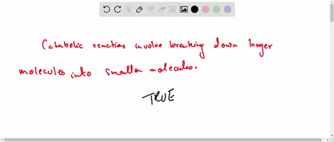 true-or-false-catabolic-reactions-involve-breaking-down-larger-molecules-into-smaller-molecules-true-false-94033