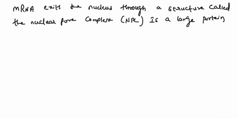 1-by-what-avenue-do-you-suppose-the-mrna-exits-the-nucleus-you-may-need-to-review-the-parts-of-the-cell-2-to-transcribe-means-to-make-a-copy-of-is-transcription-of-rna-from-dna-the-formation-28217