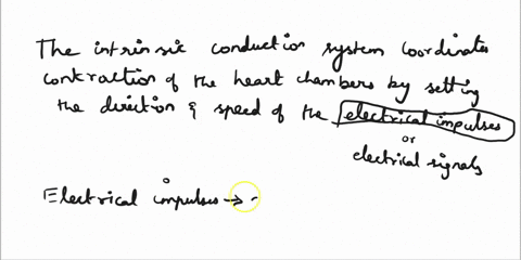 interactive-physiology20-cardiovascular-systemelectrical-activity-of-the-heart-worksheet-1-the-intrinsic-conduction-system-coordinates-contraction-of-the-heart-chambers-by-setting-the-direct-52818
