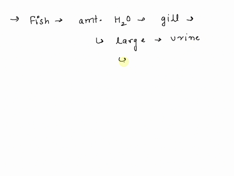 what-role-do-transport-epithelia-play-in-osmoregulation-of-marine-fish-with-bony-skeletons-a-they-actively-transport-salt-into-the-animal-through-the-gills-b-they-mediate-the-movement-of-wat-71627
