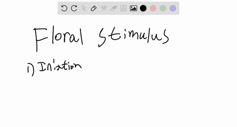 explain-the-function-and-mechanism-of-action-of-the-floral-stimulus-98137