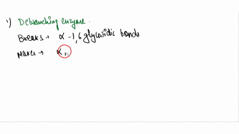 3-in-glycogen-metabolism-the-enzyme-that-breaks-a-14-glycosidic-bonds-makes-0-14-glycosidic-bonds-and-breaks-16-glycosidic-bonds-is-glycogen-phosphorylase-debranching-enzyme-glycogen-synthas-05302