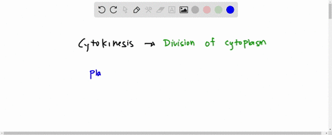 plant-cell-has-during-cytokinesis-but-an-animal-cell-has-at-cytokinesis-select-one-a-cell-divider-cleavage-divider-cleavage-furrow-cell-plate-cell-plate-cleavage-furrow-dcell-wall-cleavage-f-29185