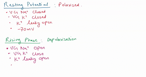 describe-how-membrane-depolarization-triggers-an-action-potential-and-how-the-action-potential-spreads-along-the-membrane-59375